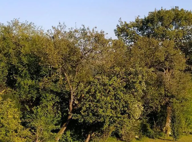 Des Gorges Hébergement de vacances